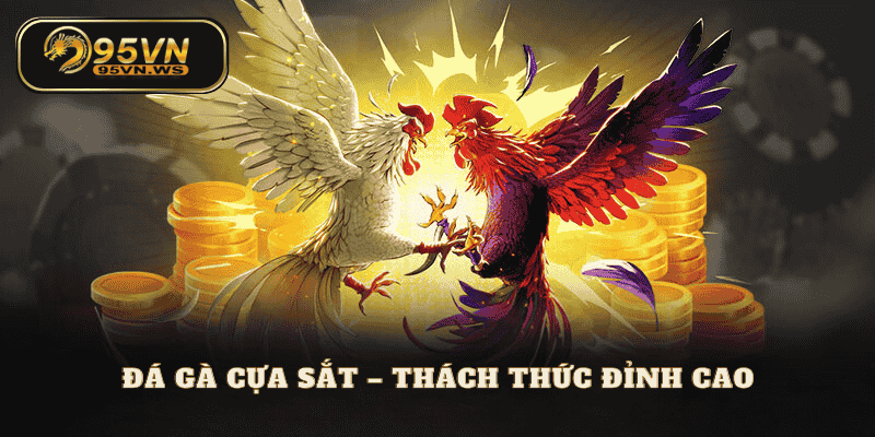 đá gà cựa sắt tại 95vn